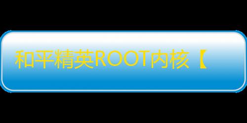 和平精英ROOT内核【张大仙】外挂
